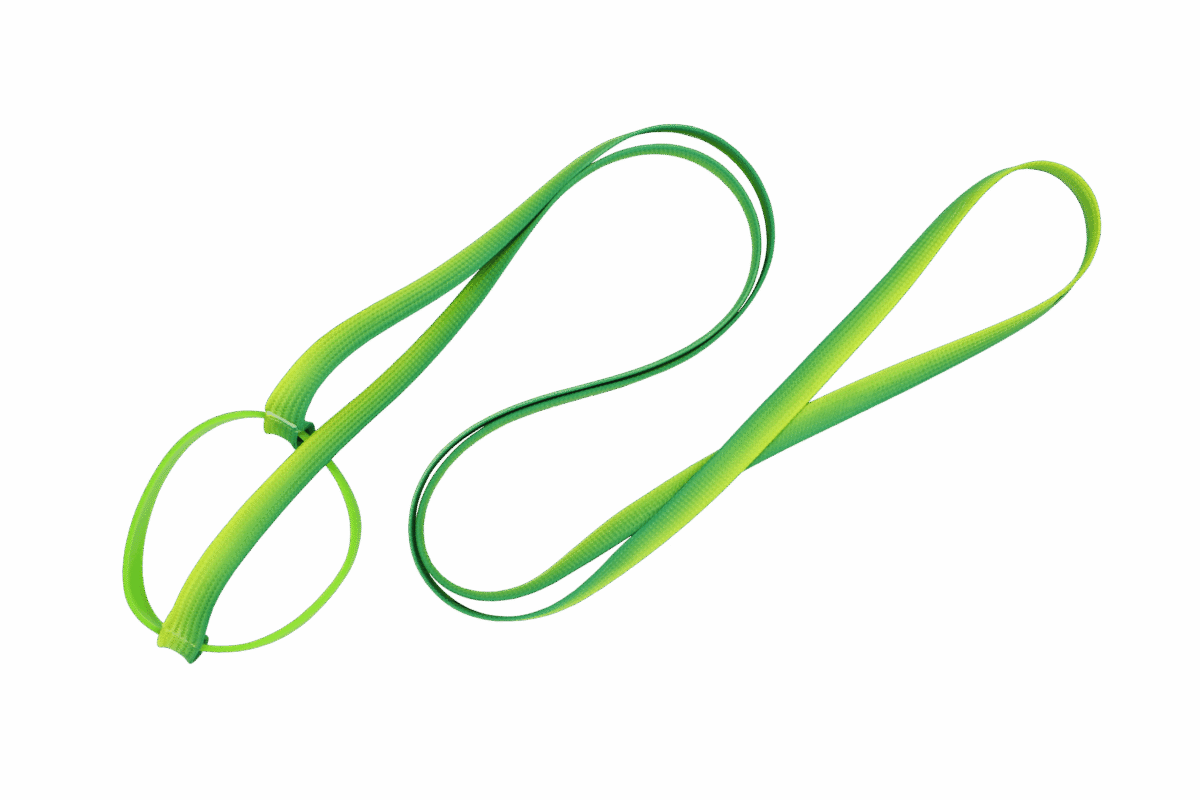 smyczzielona-scaled