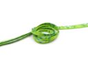 sublimation-shoelaces-14008