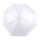bialy