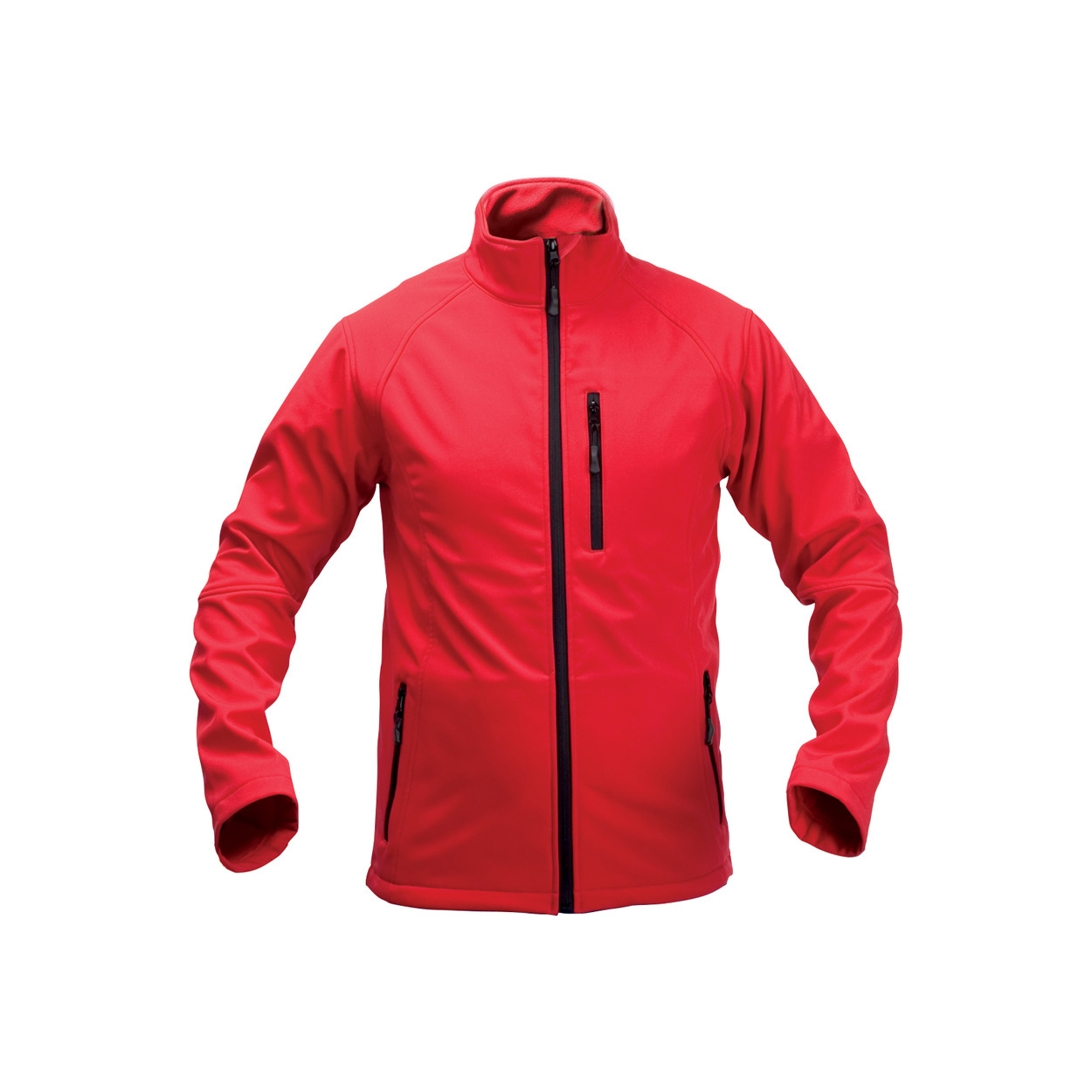 AP791501-05_XXL AP791501-05_XXL