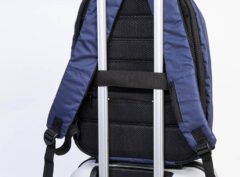 AP800245-06A__DG