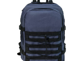 AP800828-06A__A