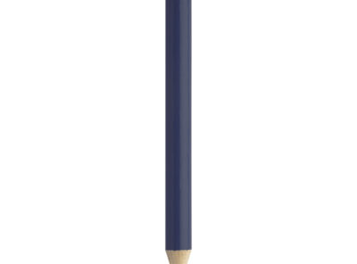 AP808098-06A